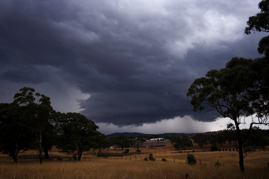 favourites jimmy_deguara : Goulburn, NSW   6 January 2006