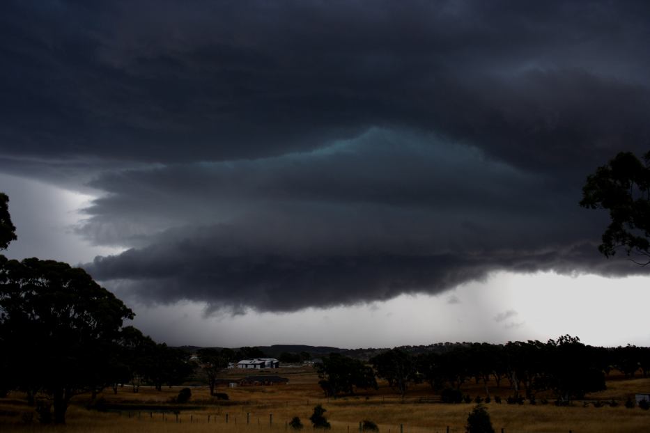 favourites jimmy_deguara : Goulburn, NSW   6 January 2006