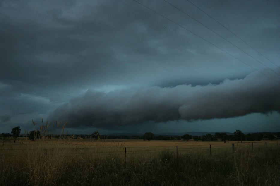 shelfcloud shelf_cloud : N of Molong, NSW   15 January 2006