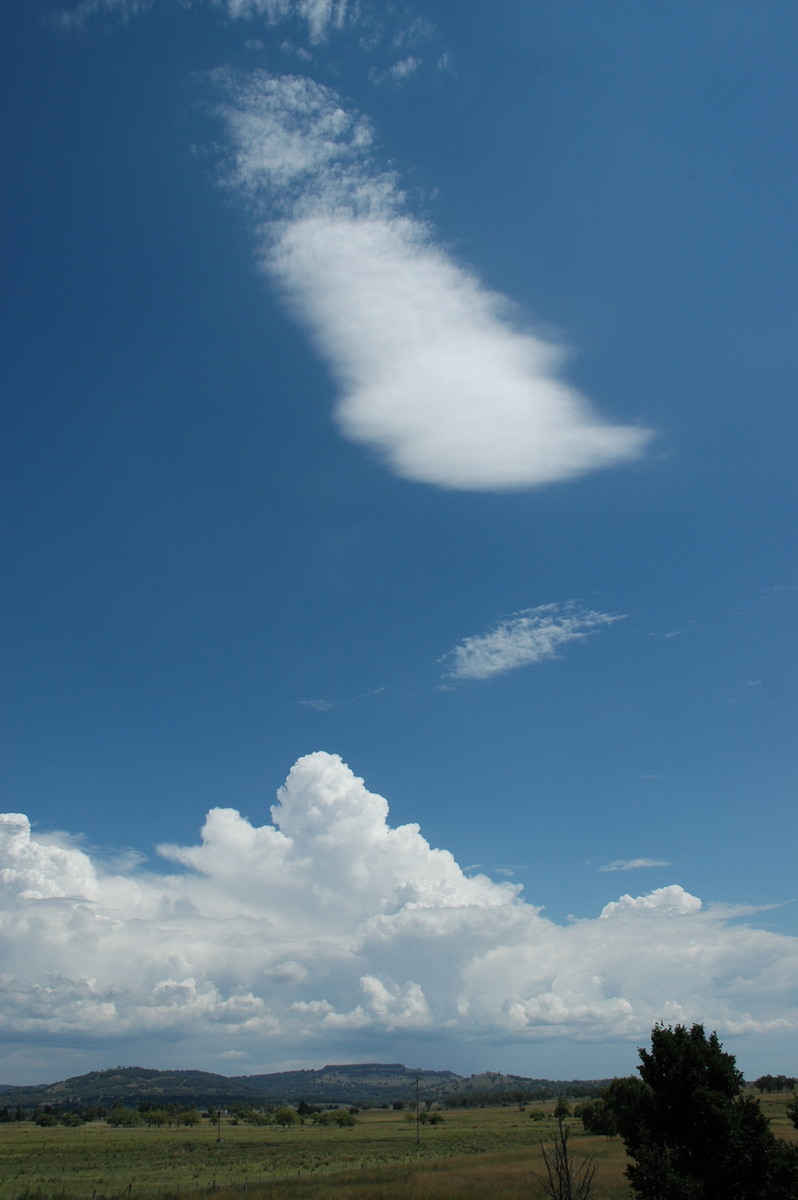 cumulus congestus : near Glen Innes, NSW   4 February 2006