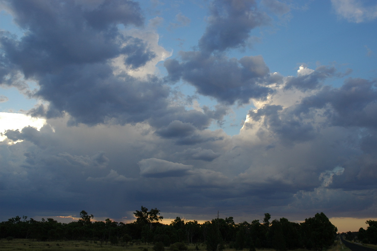 cumulus congestus : near Bonshaw, NSW   4 February 2006