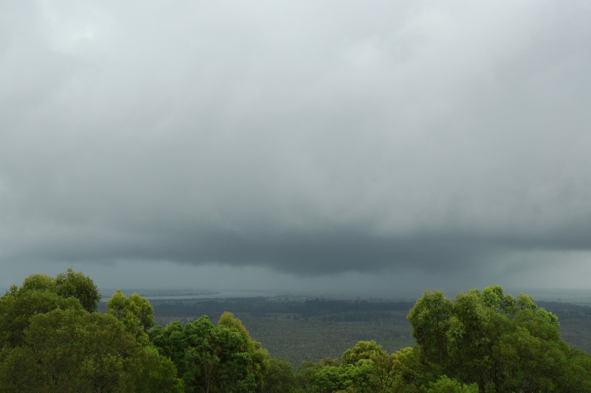 cumulonimbus thunderstorm_base : Maclean, NSW   12 February 2006