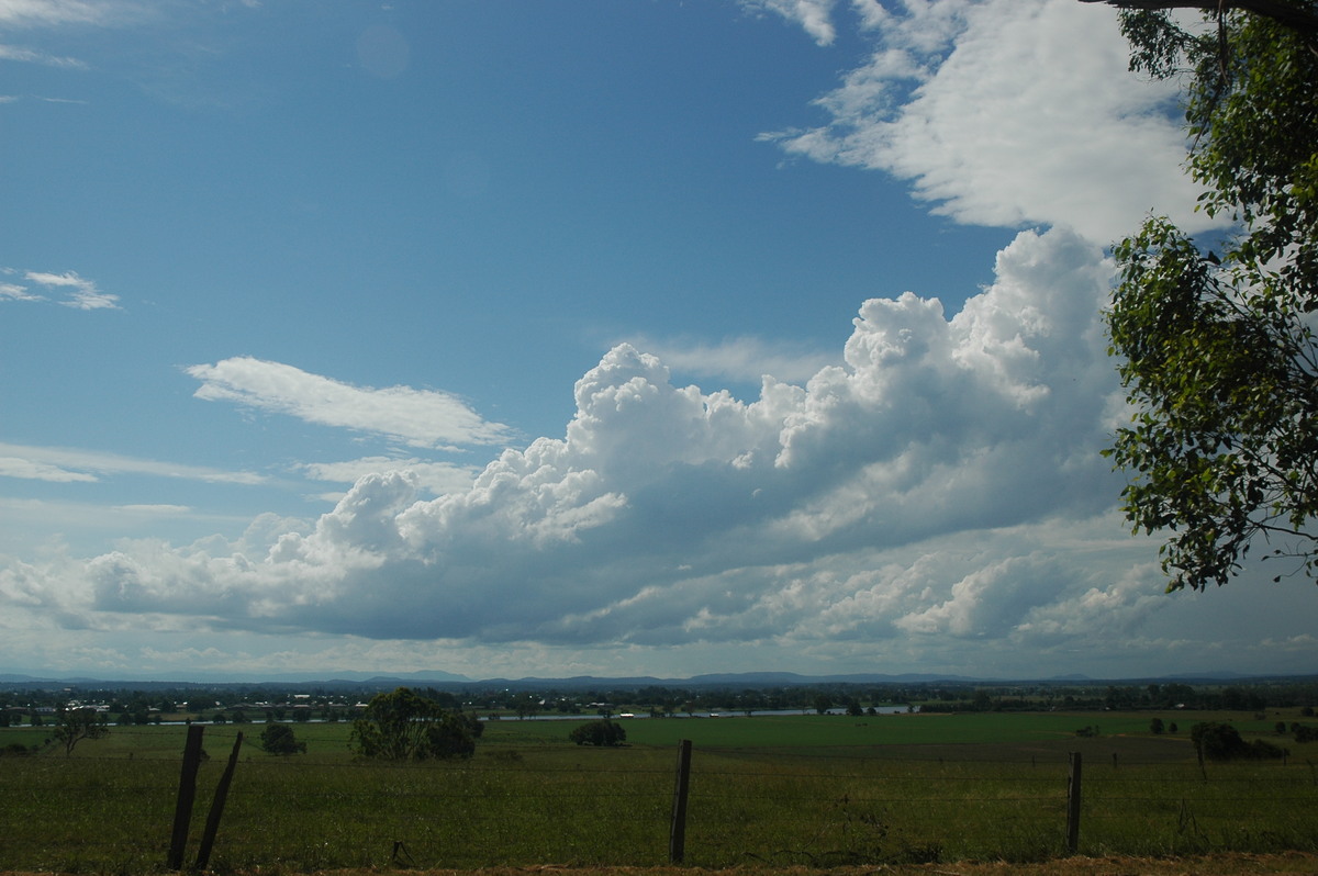 cumulus congestus : near Grafton, NSW   12 February 2006