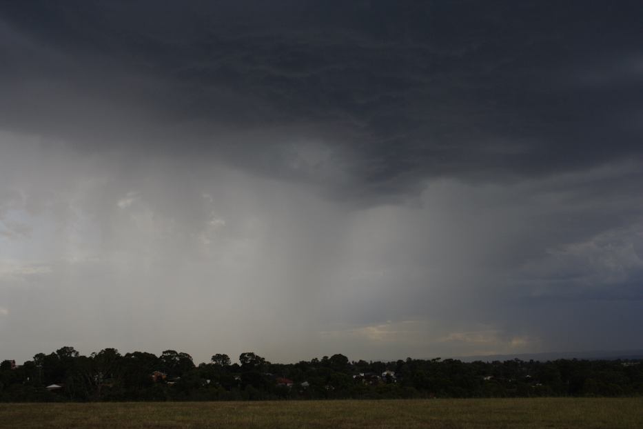 raincascade precipitation_cascade : Rooty Hill, NSW   18 February 2006