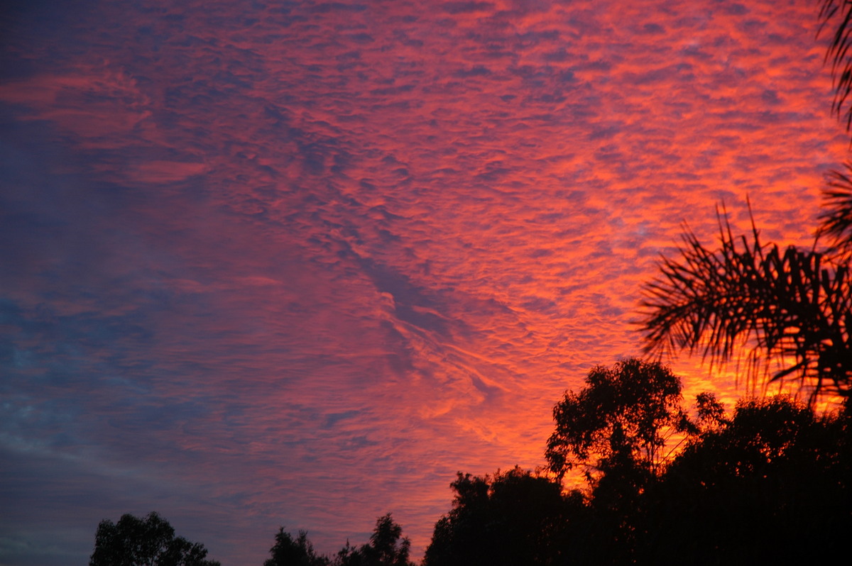 sunrise sunrise_pictures : McLeans Ridges, NSW   7 March 2006