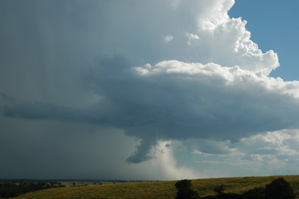 microburst micro_burst : Parrots Nest, NSW   4 April 2006