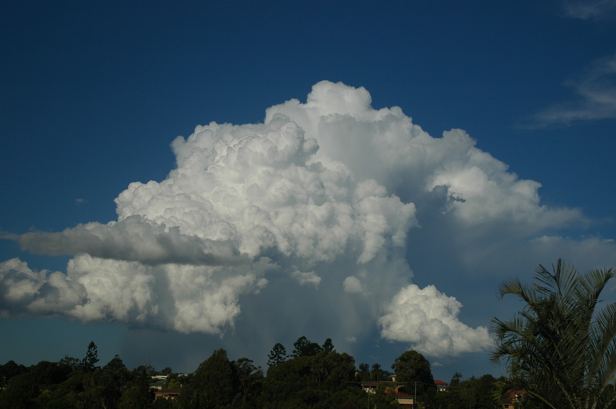 cumulus congestus : Lismore, NSW   4 April 2006