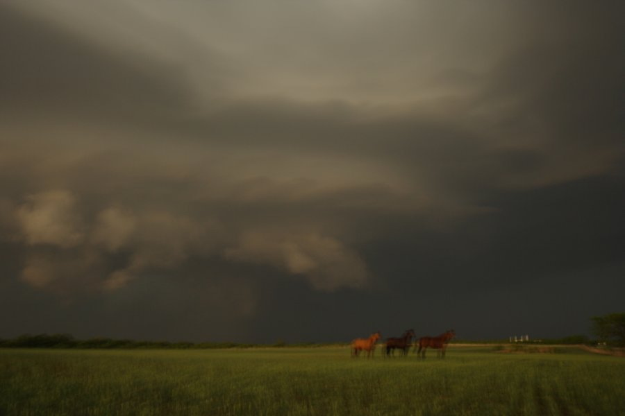 cumulonimbus supercell_thunderstorm : Jayton, Texas, USA   3 May 2006