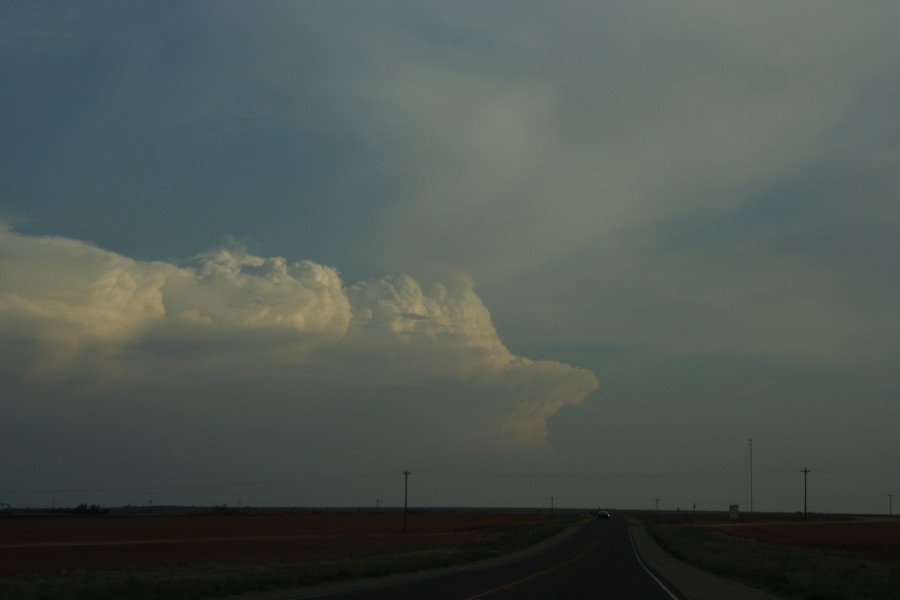 thunderstorm cumulonimbus_incus : S of Lamesa, Texas, USA   7 May 2006