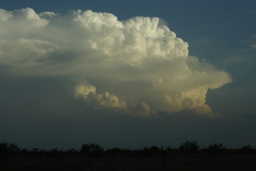 thunderstorm cumulonimbus_incus : S of Lamesa, Texas, USA   7 May 2006