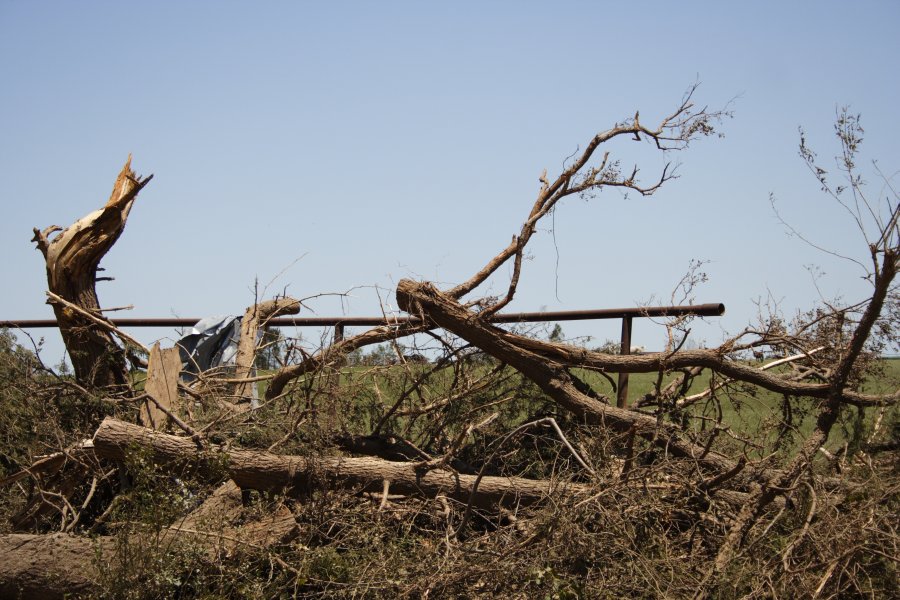 disasters storm_damage : Westminster, Texas, USA   12 May 2006