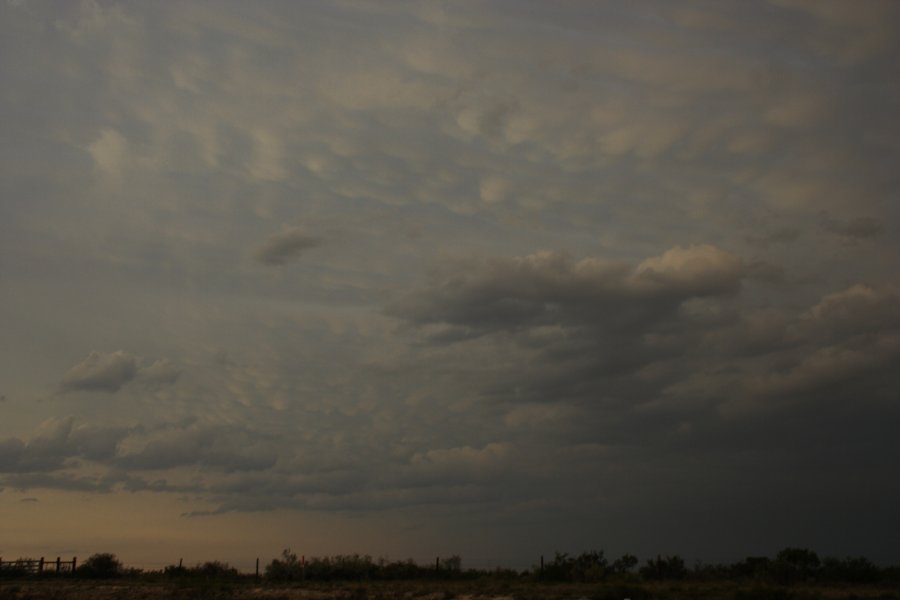 mammatus mammatus_cloud : Del Rio, Texas, USA   14 May 2006