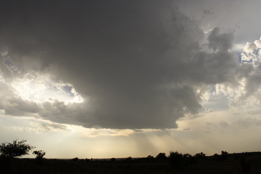 cumulonimbus thunderstorm_base : near Woodward, Oklahoma, USA   25 May 2006