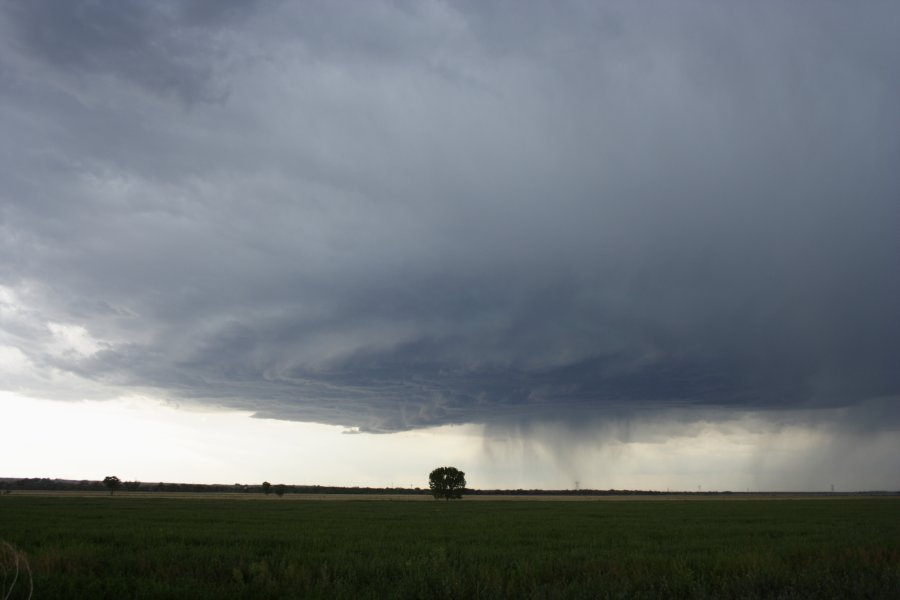 cumulonimbus supercell_thunderstorm : Scottsbluff, Nebraska, USA   10 June 2006