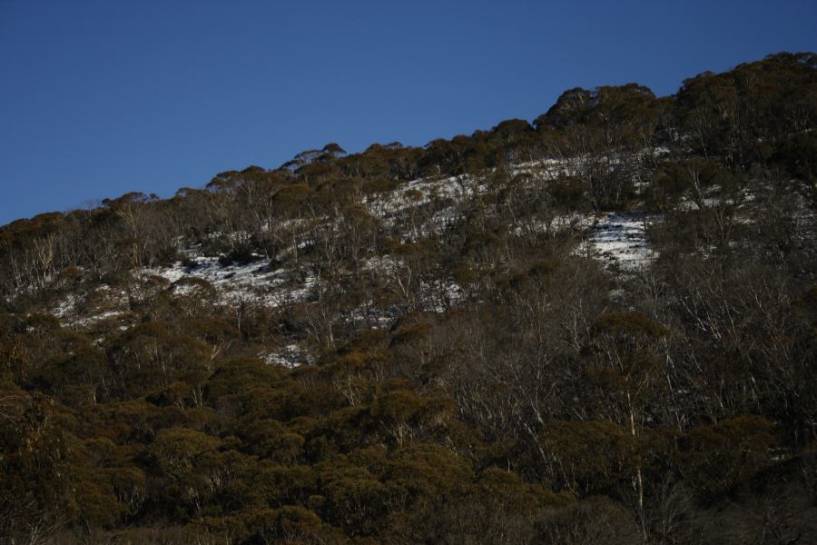 snow snow_pictures : Perisher Valley, NSW   20 August 2006