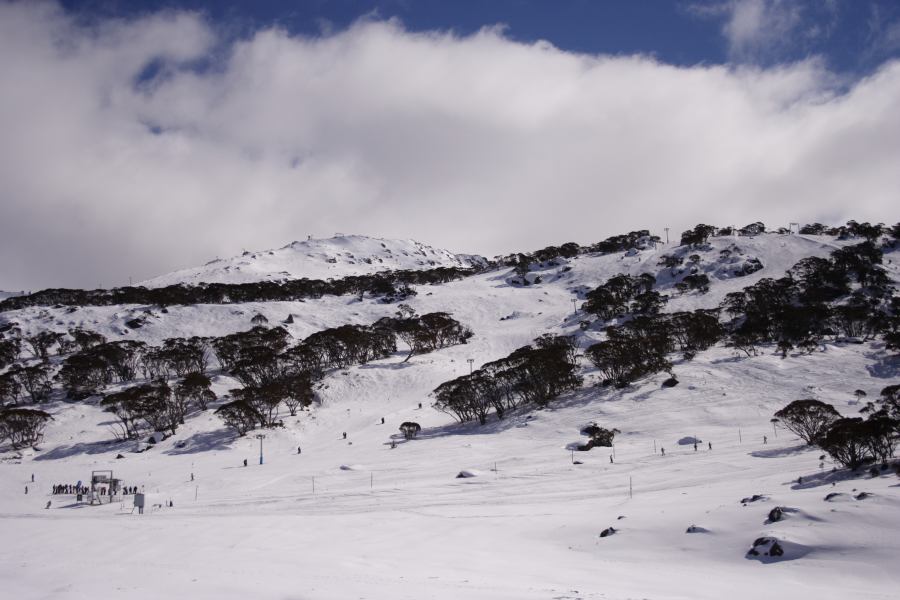 snow snow_pictures : Perisher Valley, NSW   20 August 2006