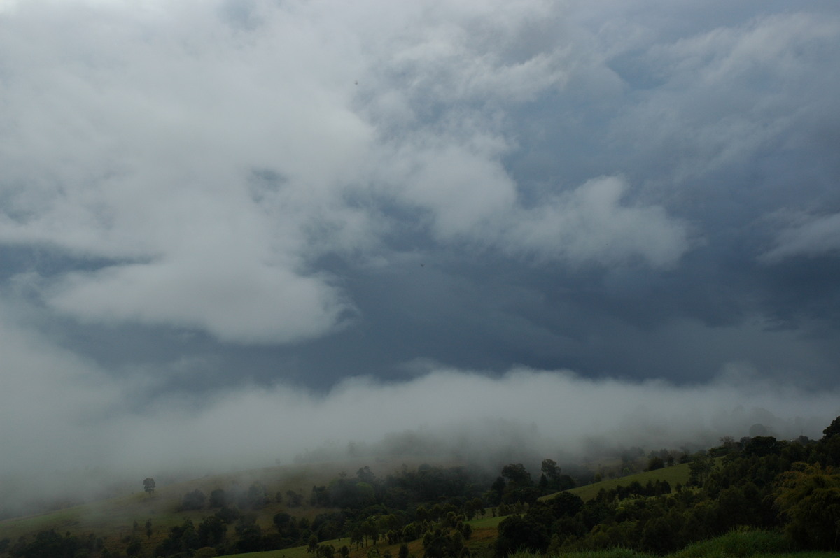 stratus stratus_cloud : McLeans Ridges, NSW   30 August 2006