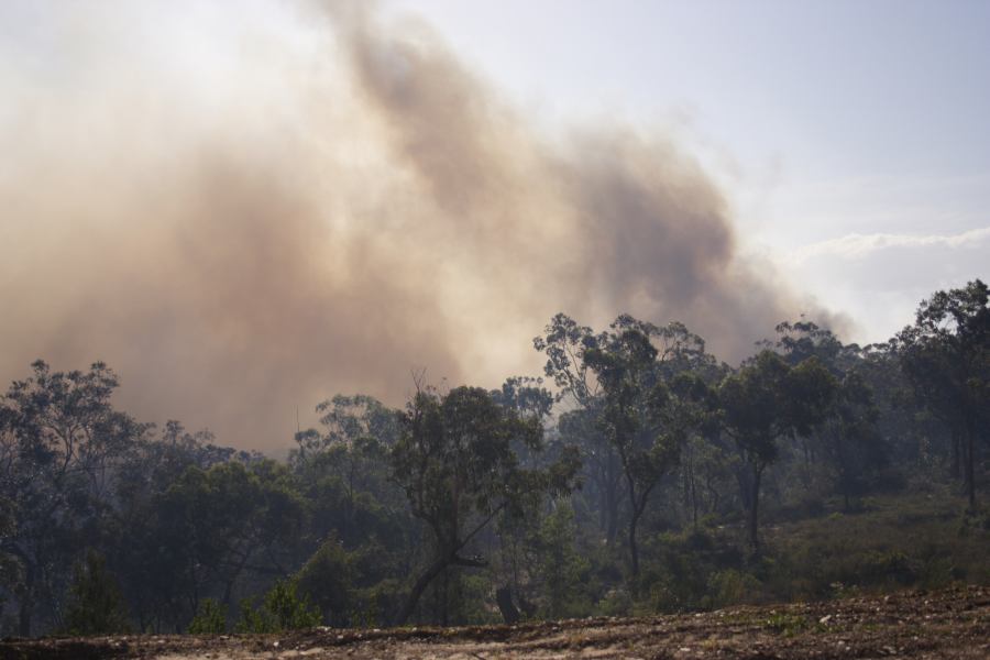 bushfire wild_fire : Pacific Park, NSW   24 September 2006