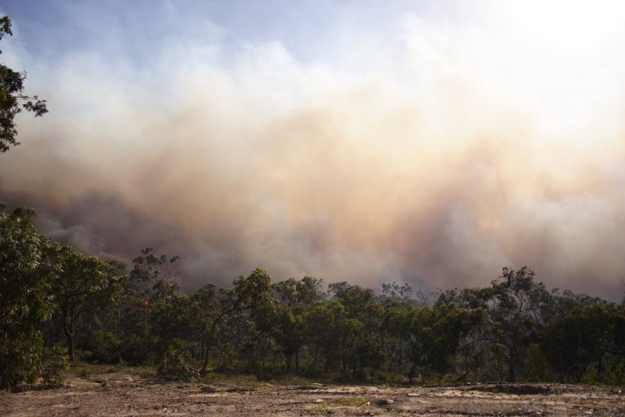 bushfire wild_fire : Pacific Park, NSW   24 September 2006