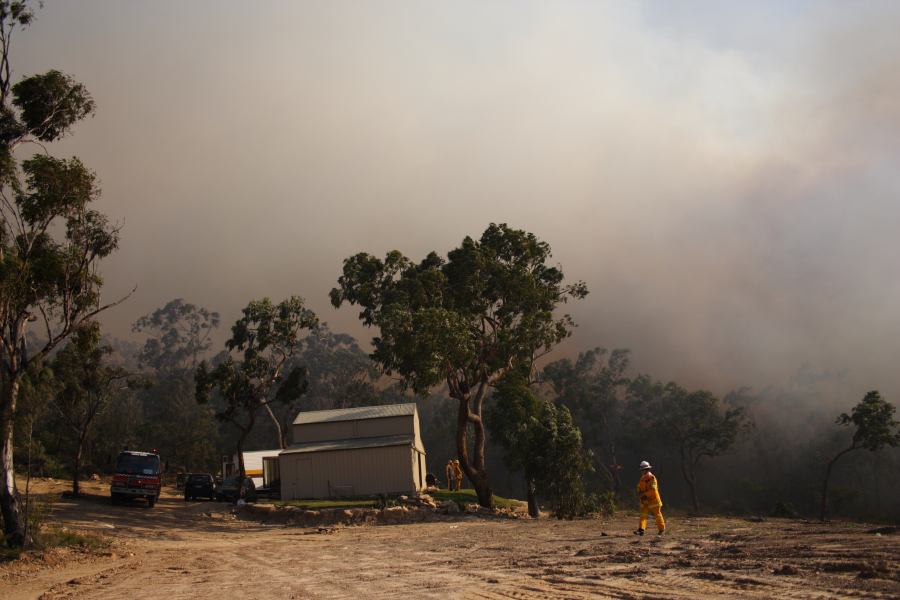 bushfire wild_fire : Pacific Park, NSW   24 September 2006