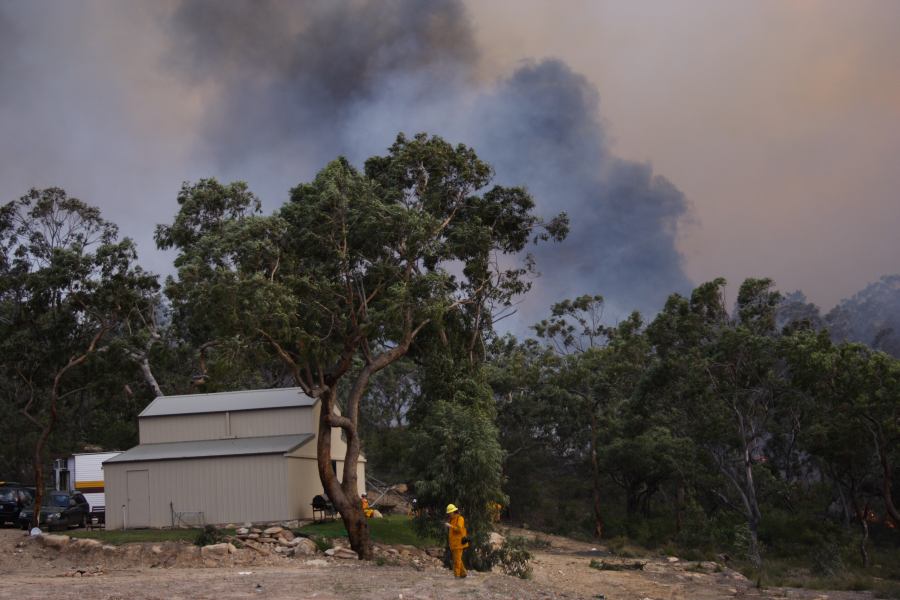 bushfire wild_fire : Pacific Park, NSW   24 September 2006