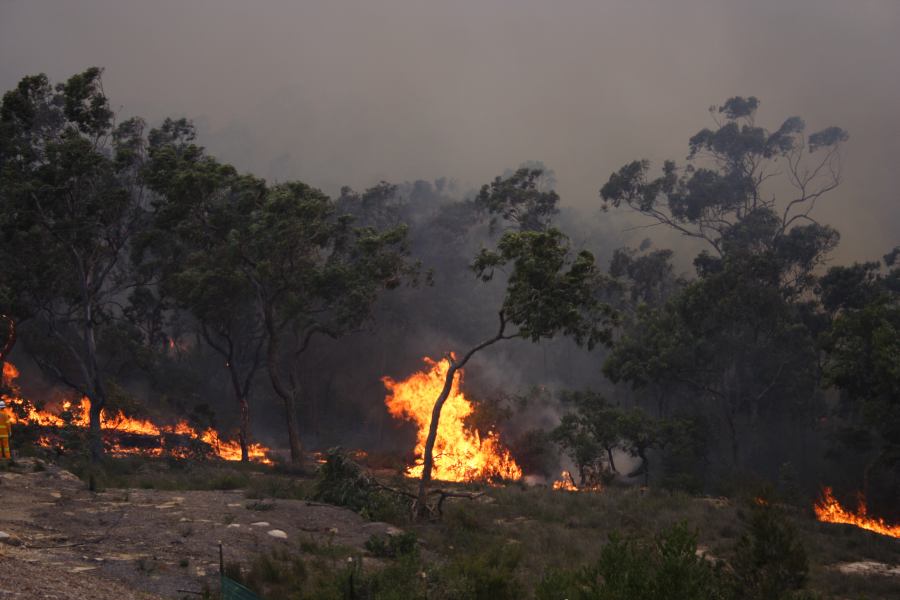 bushfire wild_fire : Pacific Park, NSW   24 September 2006