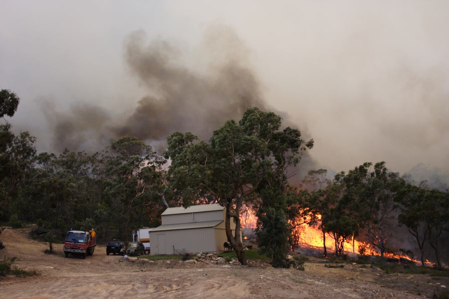 bushfire wild_fire : Pacific Park, NSW   24 September 2006