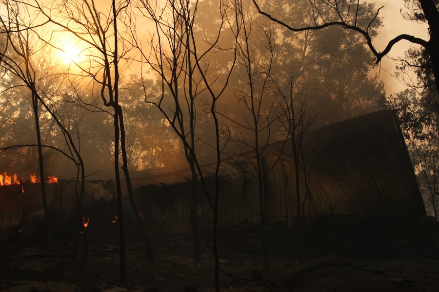 bushfire wild_fire : Pacific Park, NSW   24 September 2006