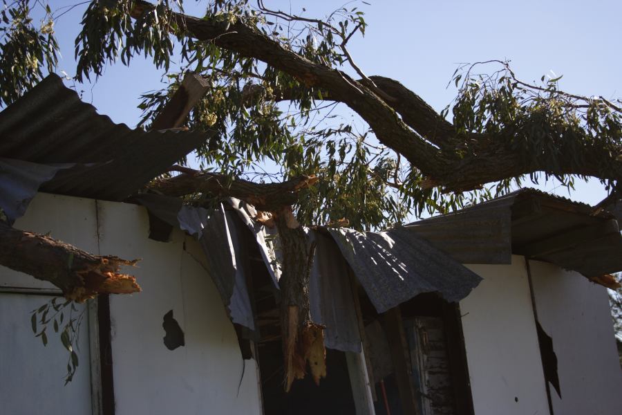 disasters storm_damage : Londonderry, NSW   25 September 2006