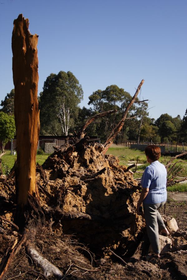 disasters storm_damage : Londonderry, NSW   25 September 2006