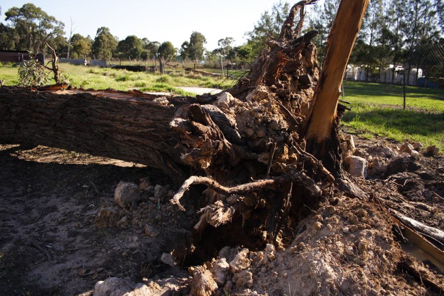 disasters storm_damage : Londonderry, NSW   25 September 2006