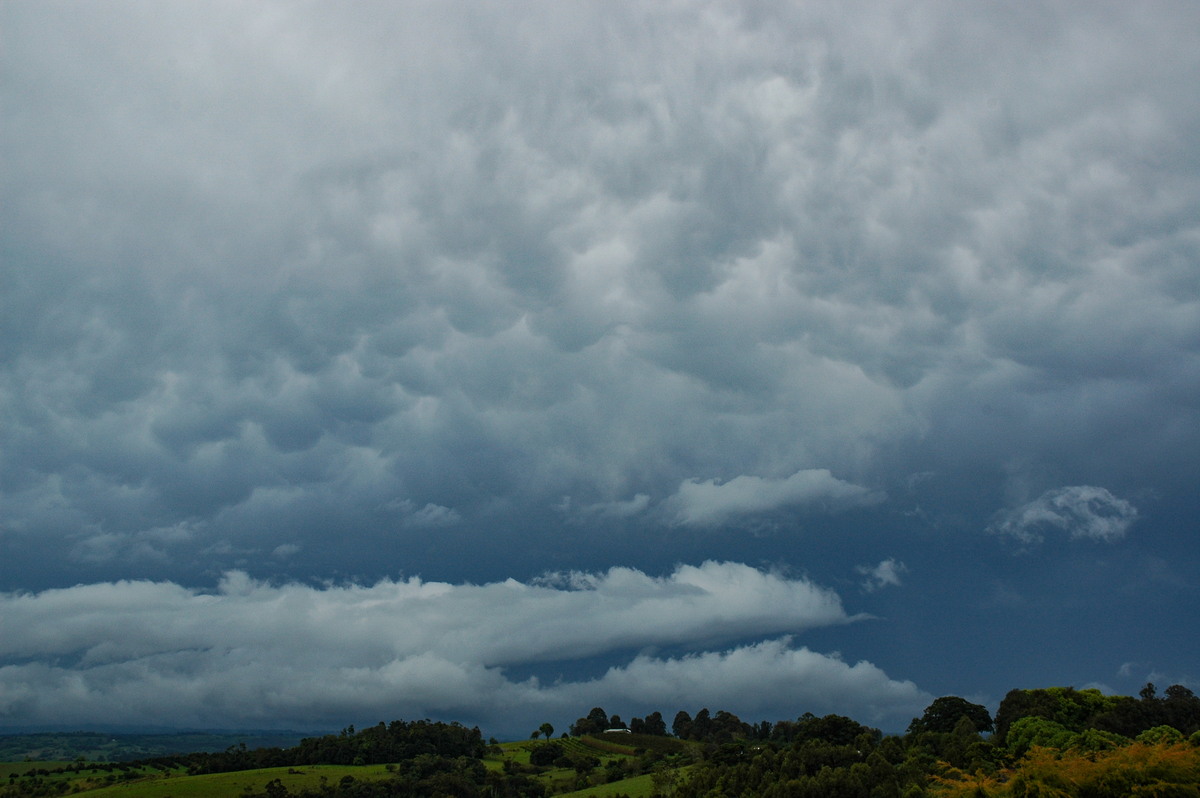 stratus stratus_cloud : McLeans Ridges, NSW   27 September 2006