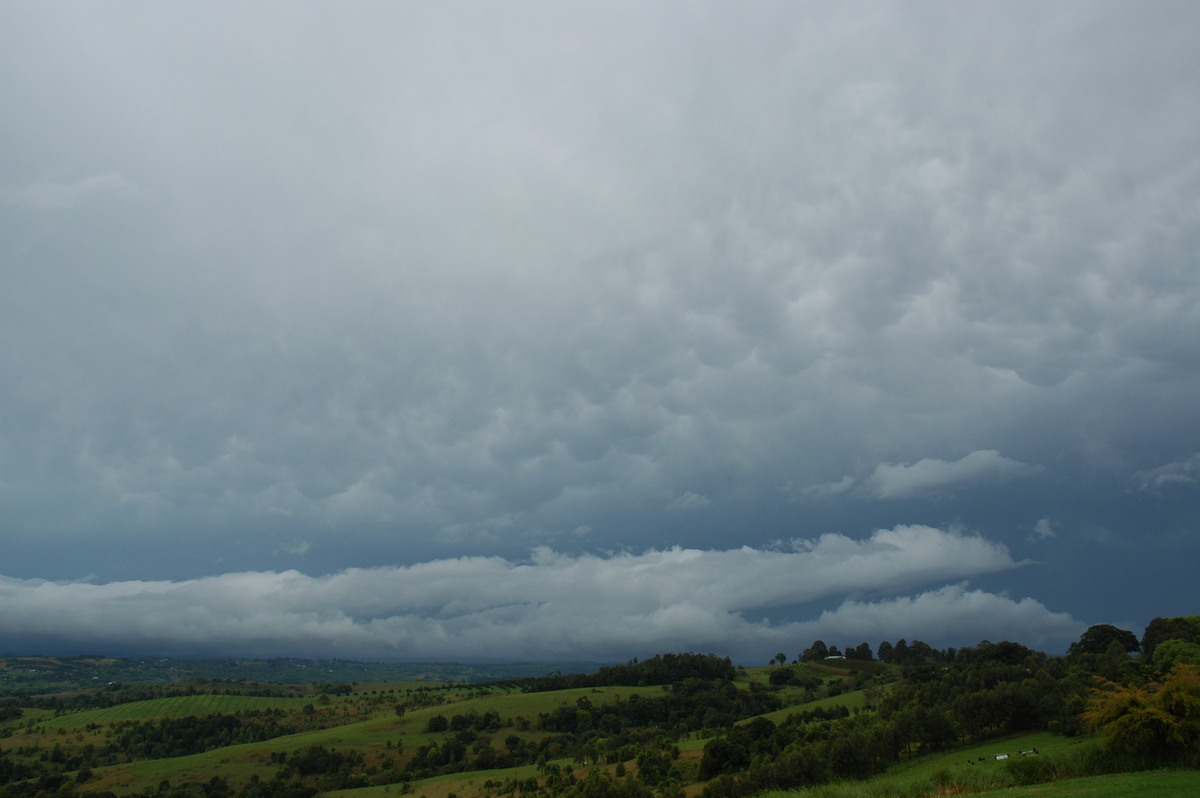 mammatus mammatus_cloud : McLeans Ridges, NSW   27 September 2006