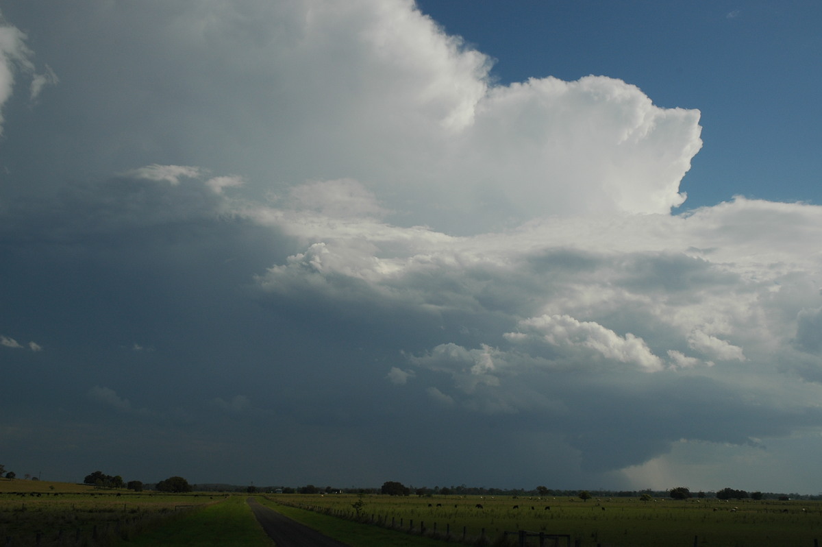 updraft thunderstorm_updrafts : McKees Hill, NSW   1 November 2006