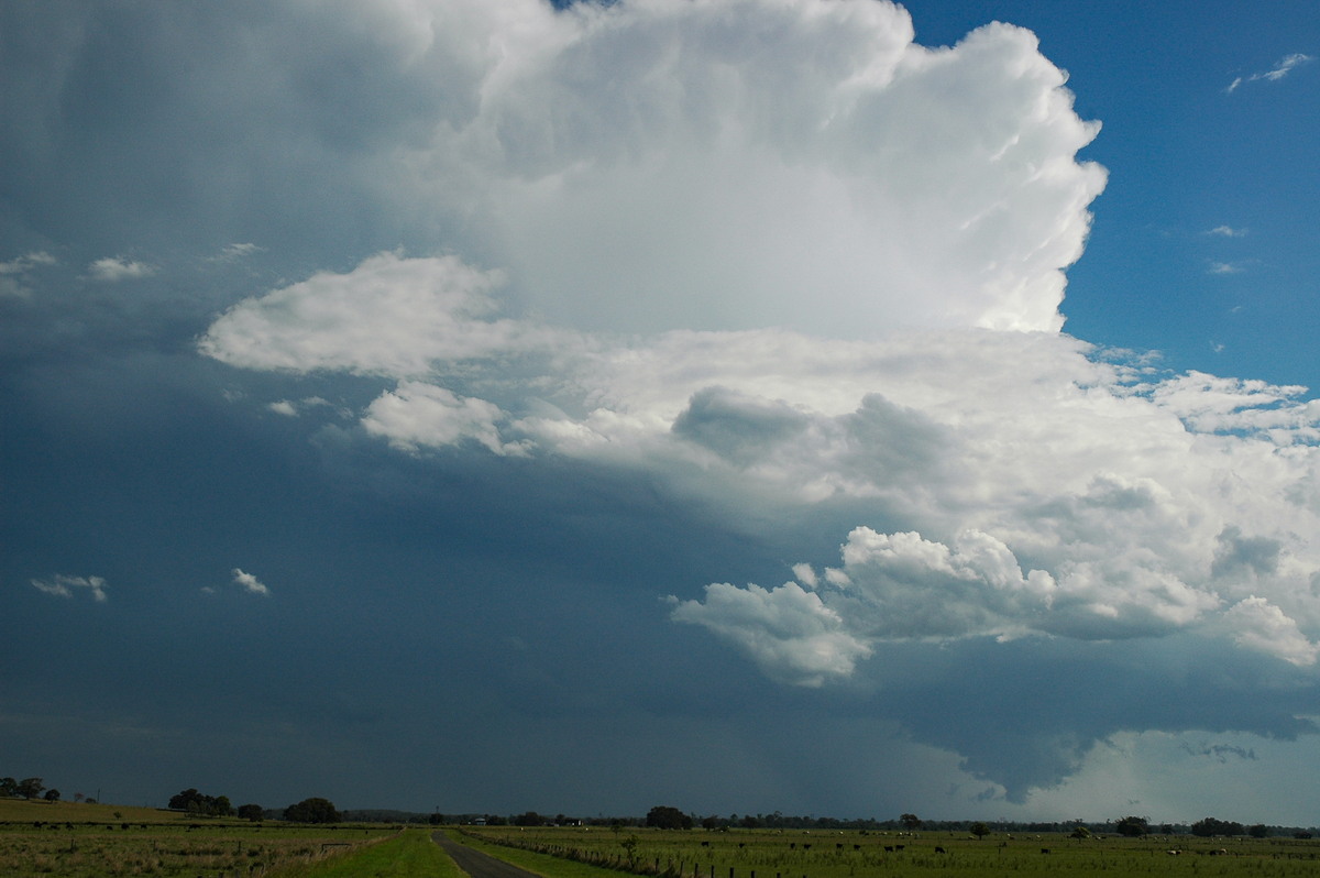 updraft thunderstorm_updrafts : McKees Hill, NSW   1 November 2006