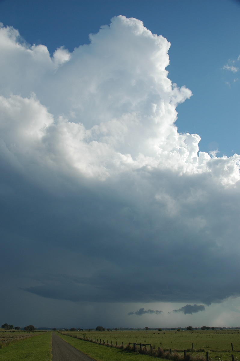 updraft thunderstorm_updrafts : McKees Hill, NSW   1 November 2006