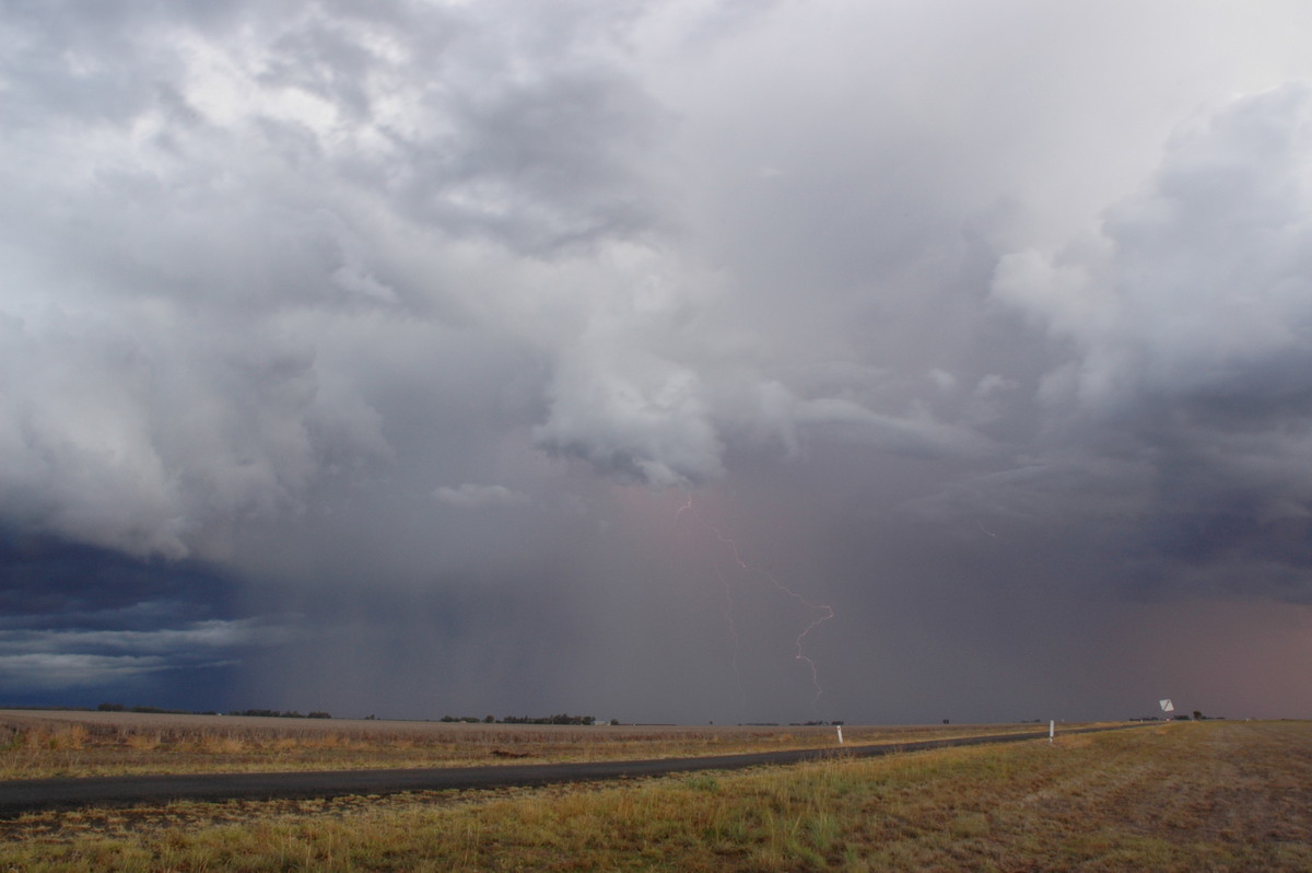 lightning lightning_bolts : SE of Dalby, QLD   4 November 2006