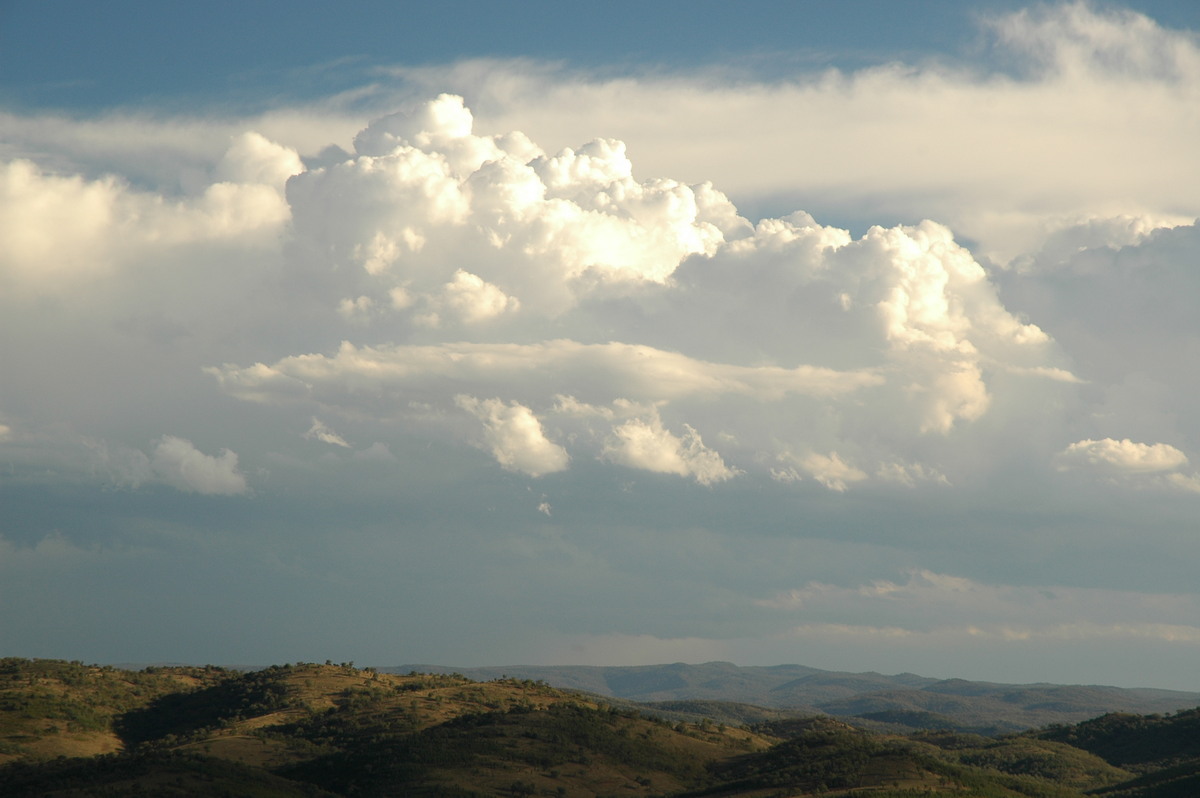 cumulus congestus : W of Tenterfield, NSW   8 November 2006