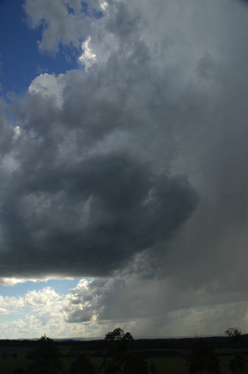 cumulonimbus thunderstorm_base : Tabulum, NSW   11 November 2006