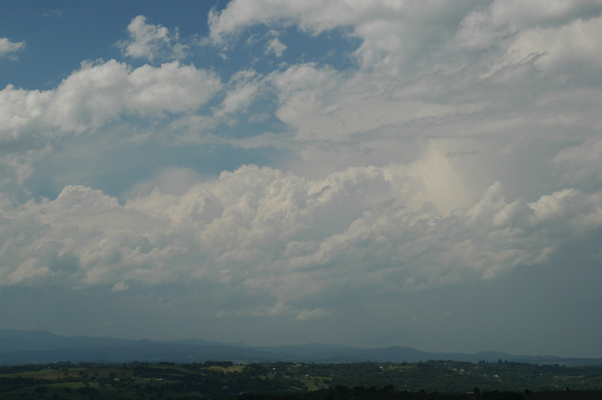 cumulus congestus : McLeans Ridges, NSW   15 November 2006