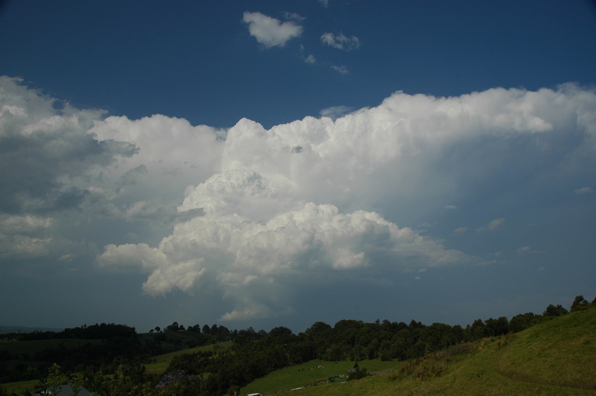 cumulonimbus supercell_thunderstorm : McLeans Ridges, NSW   15 November 2006