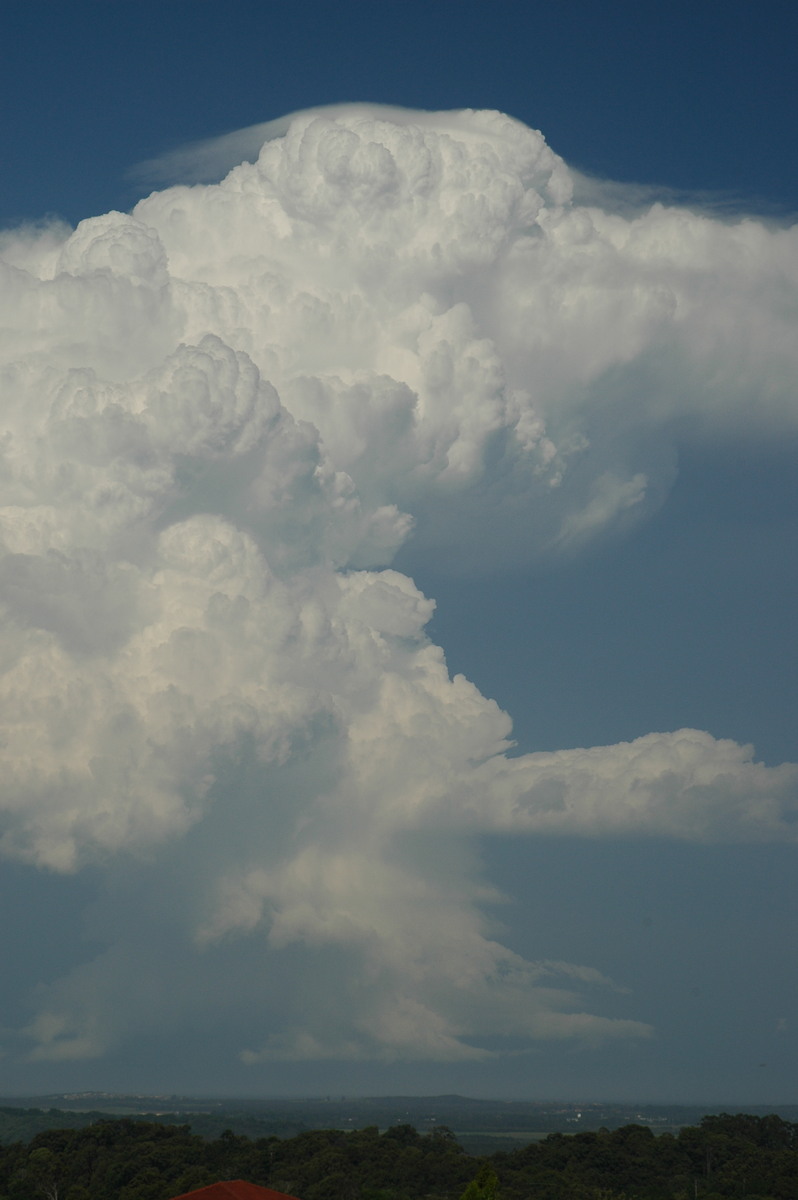 updraft thunderstorm_updrafts : Alstonville, NSW   15 November 2006