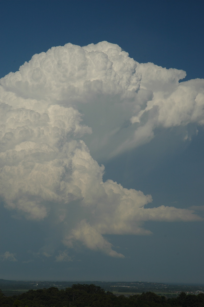 updraft thunderstorm_updrafts : Alstonville, NSW   15 November 2006