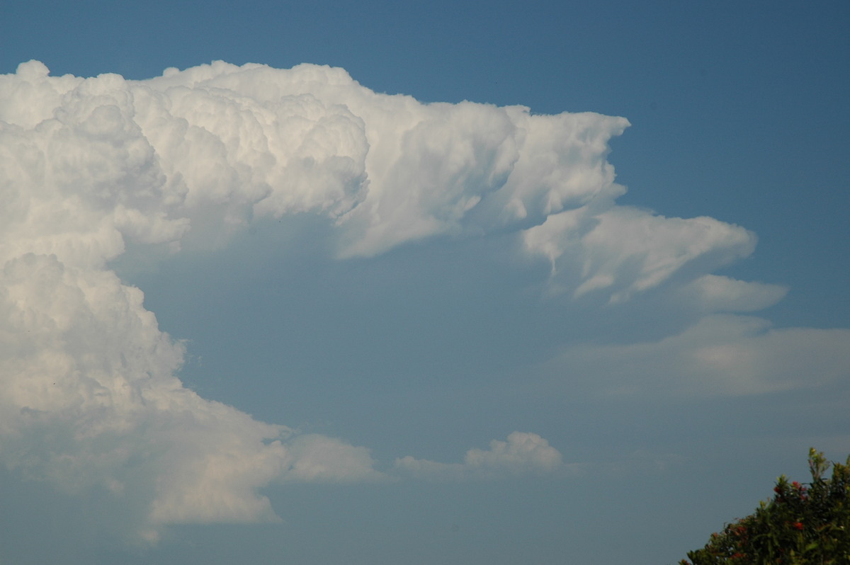 anvil thunderstorm_anvils : Alstonville, NSW   15 November 2006