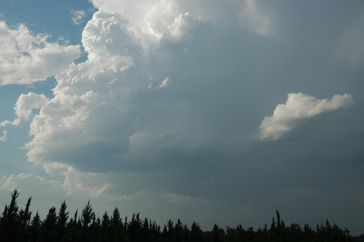 cumulonimbus thunderstorm_base : Coombell, NSW   26 November 2006