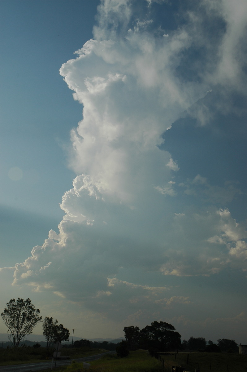 cumulus congestus : W of Casino, NSW   26 November 2006