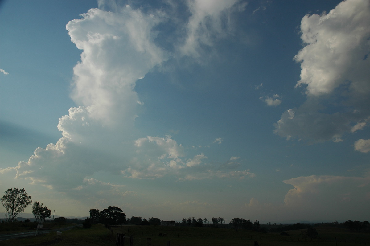 cumulus congestus : W of Casino, NSW   26 November 2006