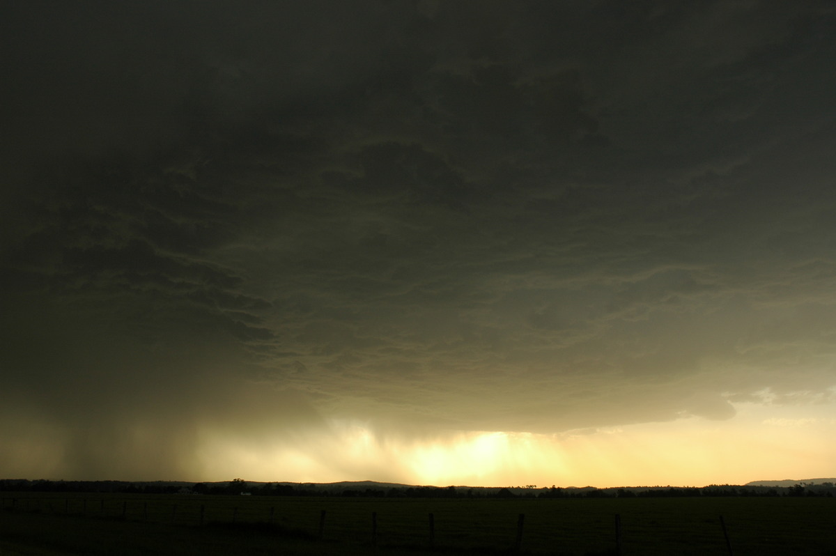 cumulonimbus thunderstorm_base : N of Casino, NSW   29 November 2006