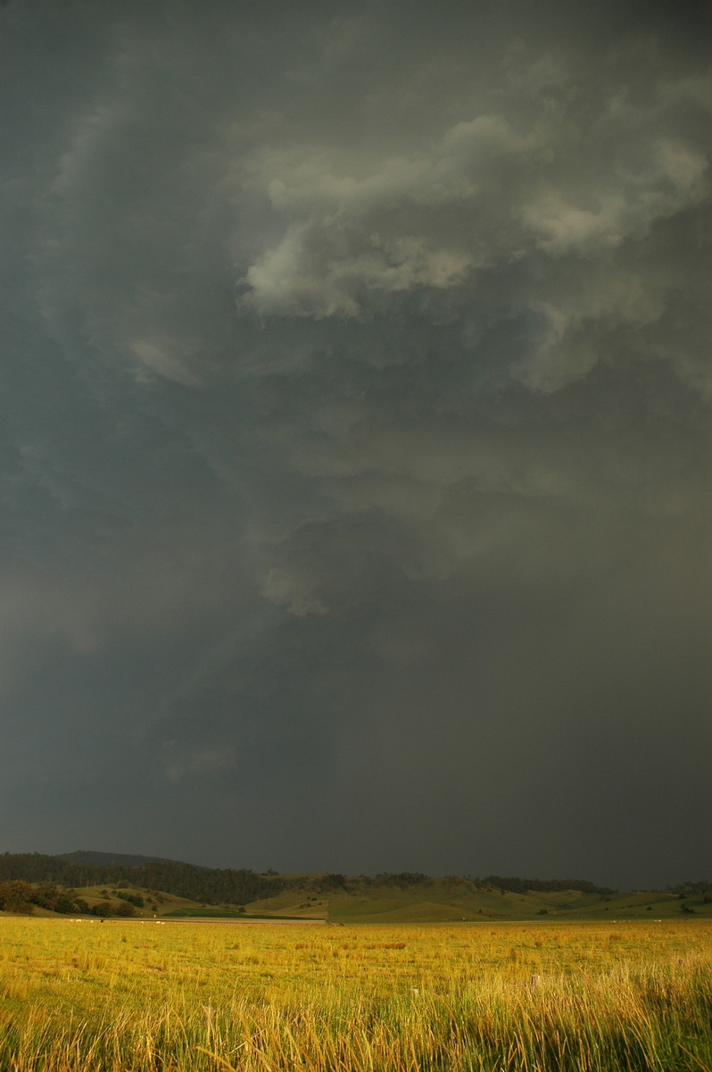 cumulonimbus thunderstorm_base : S of Kyogle, NSW   29 November 2006