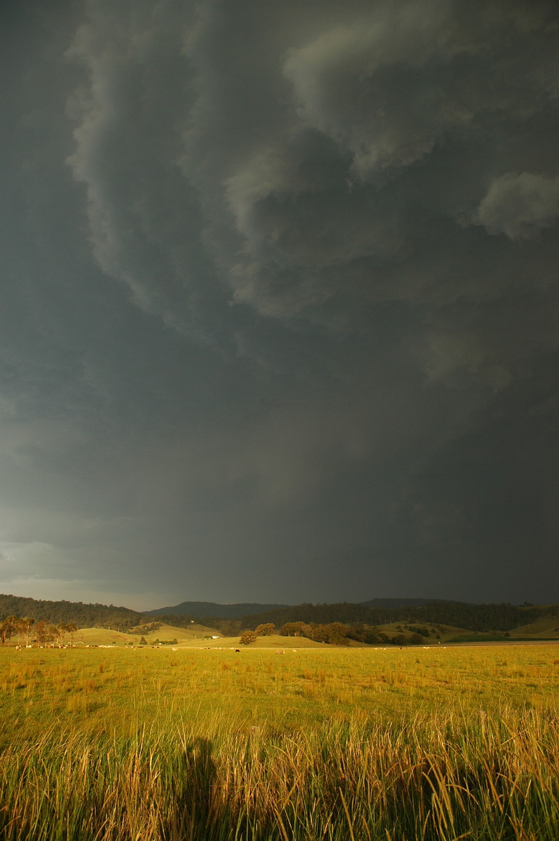 cumulonimbus thunderstorm_base : S of Kyogle, NSW   29 November 2006